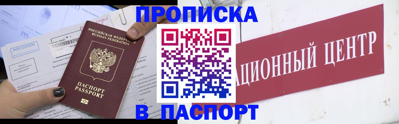 временная регистрация для всех в Светлогорске